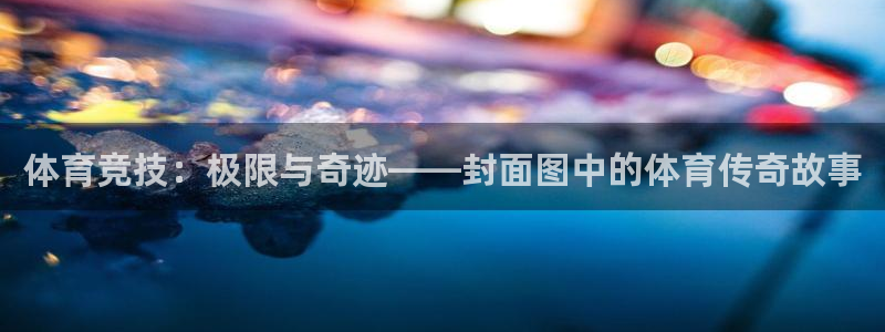 3377体育全网