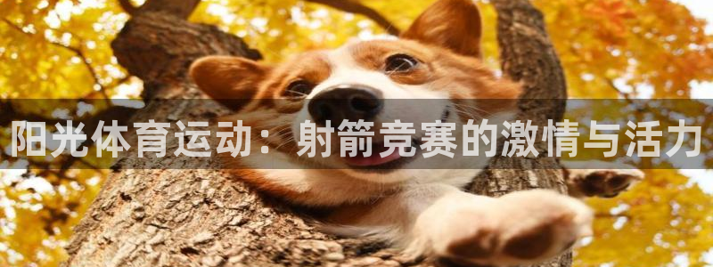 3377体育是正规平台吗