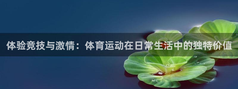 3377体育app登录入口