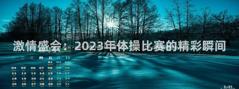 3377体育app下载安装