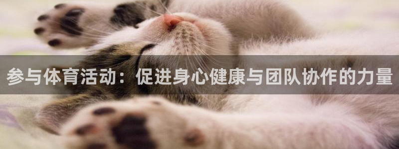 3377体育app登录入口