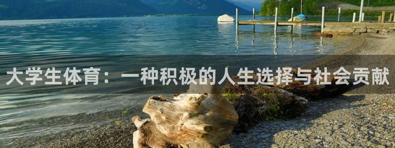 3377体育app官方下载