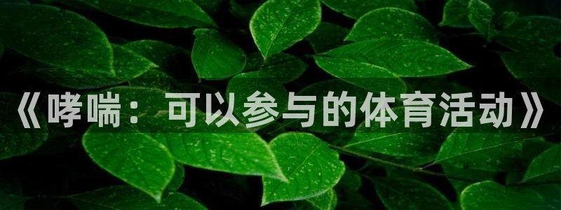 3377体育