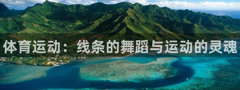 3377体育中国官方网站入口