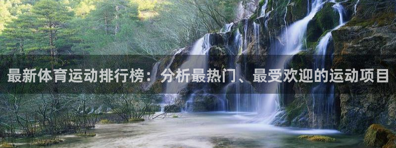 3377体育