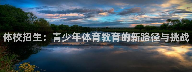 3377体育官网入口网页版