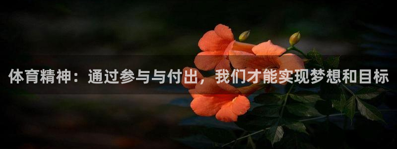 3377体育是正规的吗