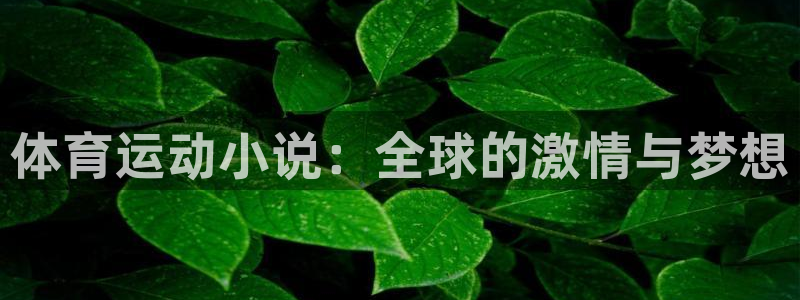 3377体育靠谱吗