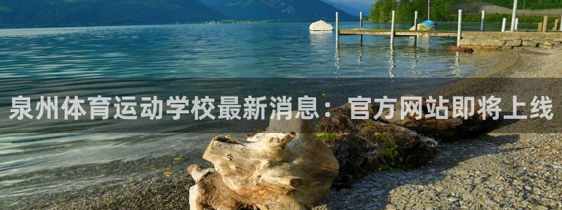 3377体育官网